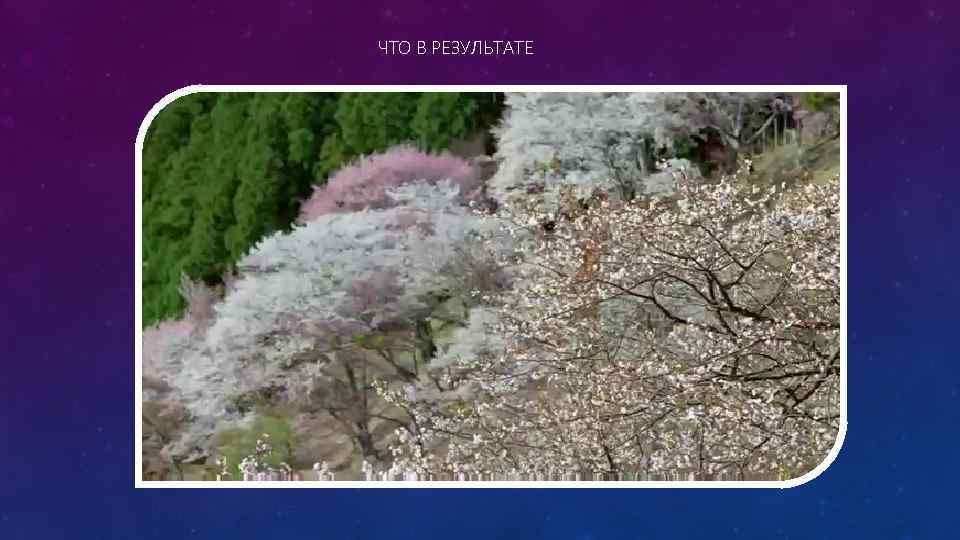 ЧТО В РЕЗУЛЬТАТЕ 