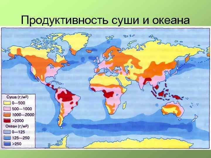Продуктивность суши и океана 