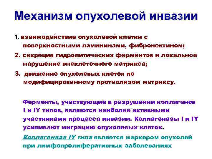 Механизм опухолевой инвазии 1. взаимодействие опухолевой клетки с поверхностными ламининами, фибронектином; 2. секреция гидролитических