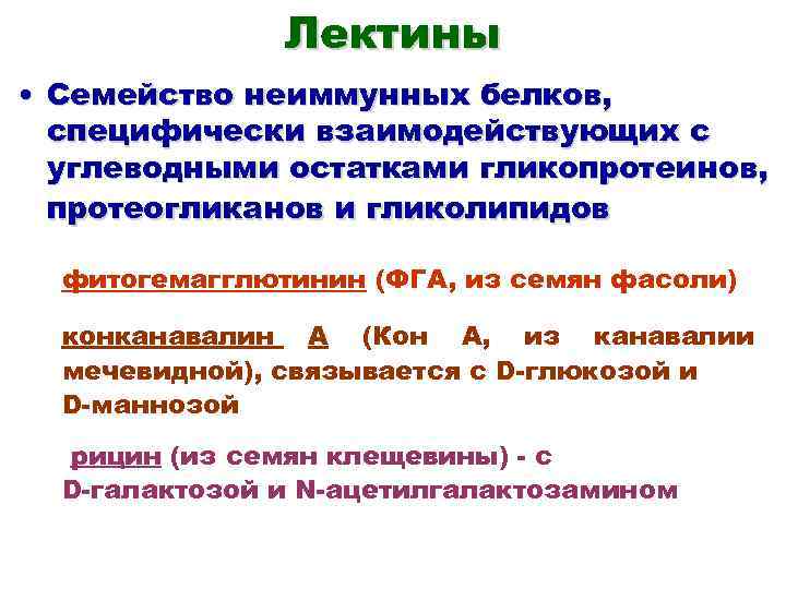 Лектины • Семейство неиммунных белков, специфически взаимодействующих с углеводными остатками гликопротеинов, протеогликанов и гликолипидов