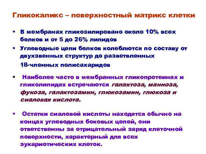 Гликокаликс – поверхностный матрикс клетки • В мембранах гликозилировано около 10% всех белков и