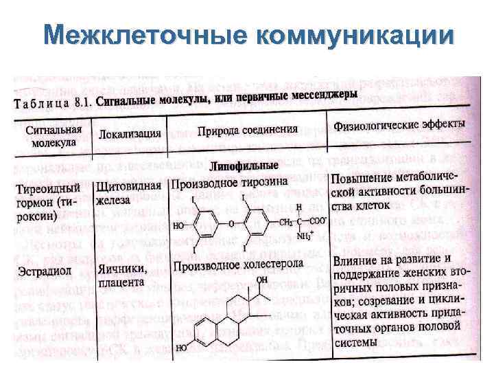 Межклеточные коммуникации 