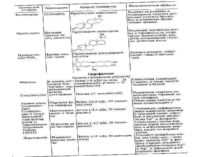 продолжение 