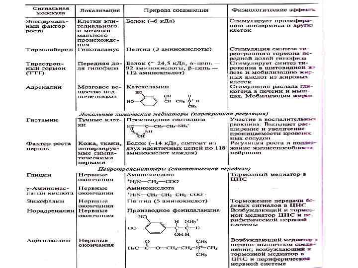 продолжение 