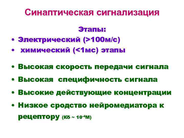 Синаптическая сигнализация Этапы: • Электрический (>100 м/с) • химический (<1 мс) этапы • Высокая