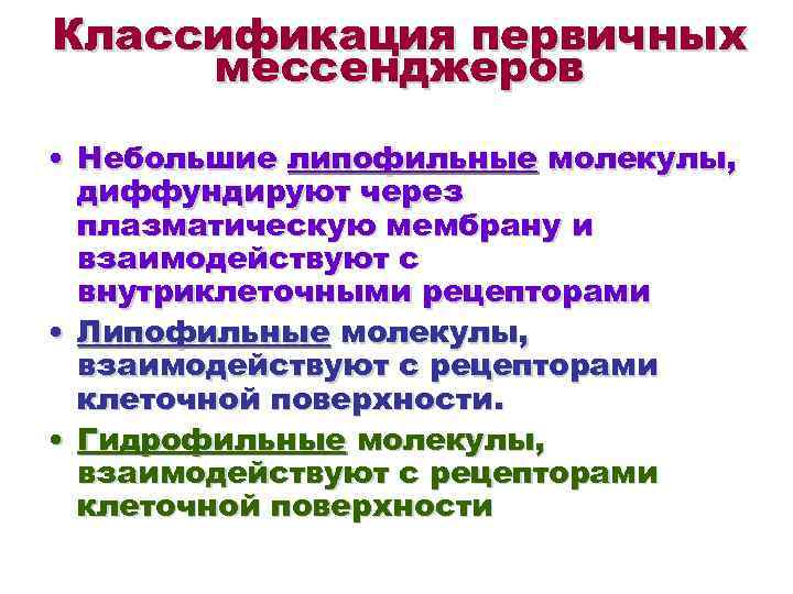 Классификация первичных мессенджеров • Небольшие липофильные молекулы, диффундируют через плазматическую мембрану и взаимодействуют с