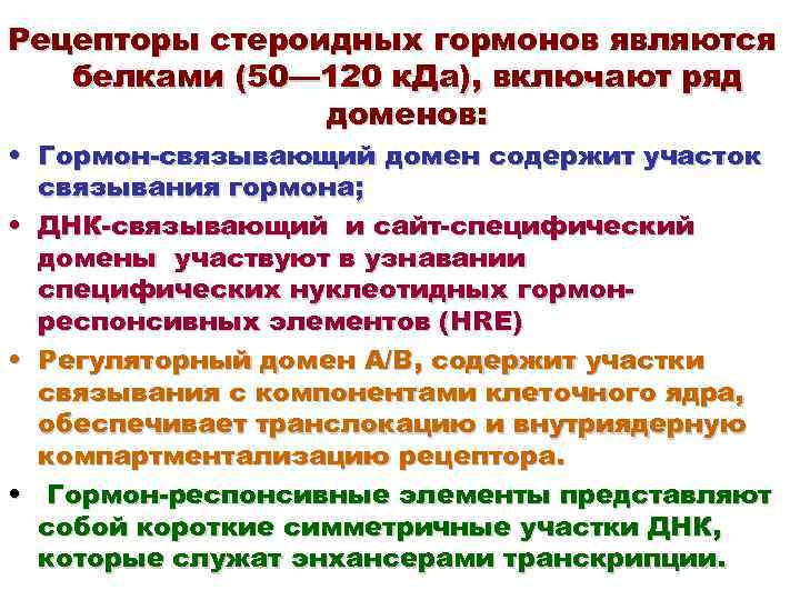 Рецепторы стероидных гормонов являются белками (50— 120 к. Да), включают ряд доменов: • Гормон-связывающий