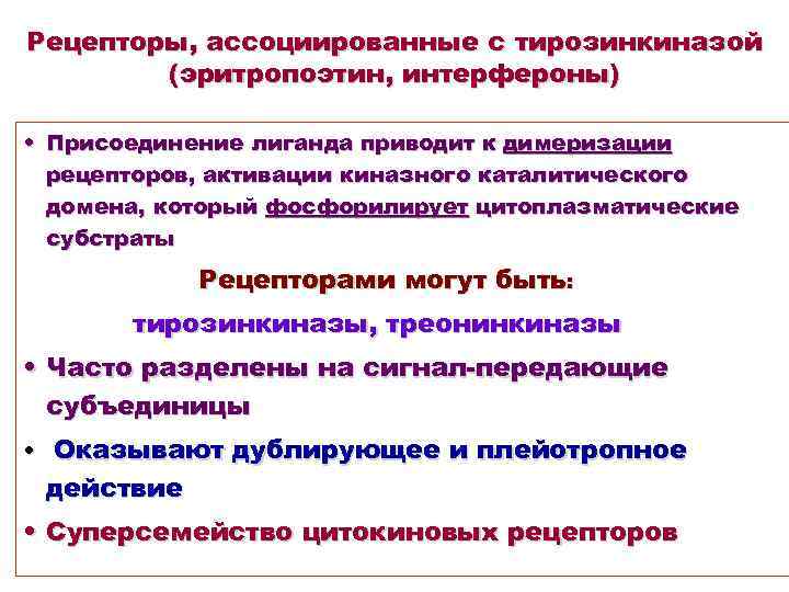 Рецепторы, ассоциированные с тирозинкиназой (эритропоэтин, интерфероны) • Присоединение лиганда приводит к димеризации рецепторов, активации