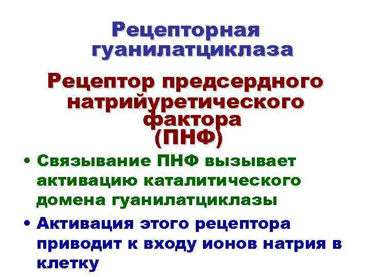 Рецепторная гуанилатциклаза Рецептор предсердного натрийуретического фактора (ПНФ) • Связывание ПНФ вызывает активацию каталитического домена