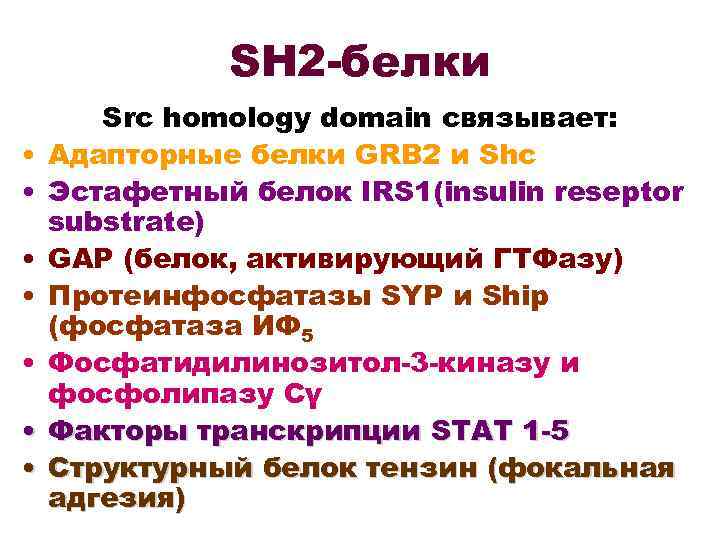 SH 2 -белки • • Src homology domain связывает: Адапторные белки GRB 2 и