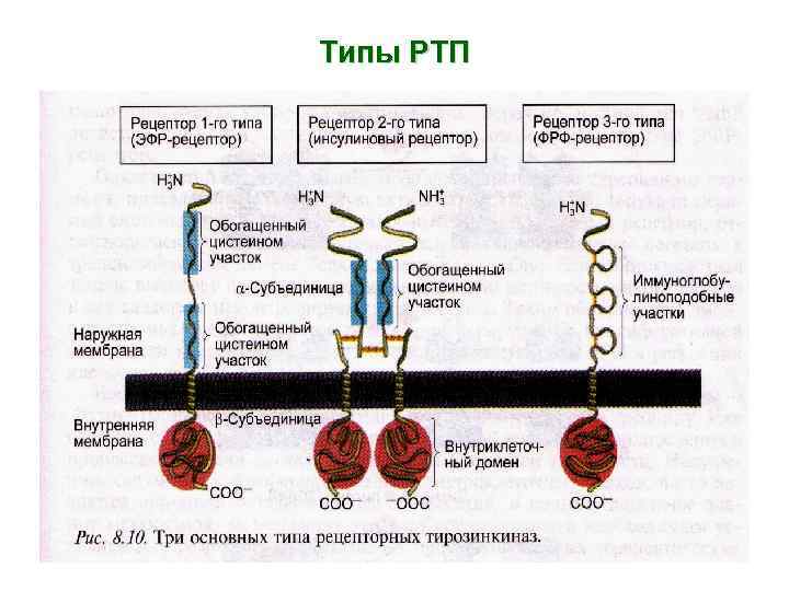 Типы РТП 