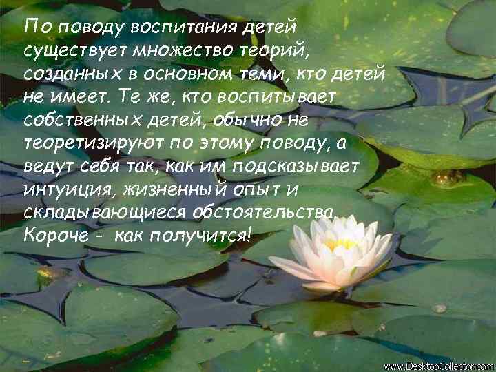 По поводу воспитания детей существует множество теорий, созданных в основном теми, кто детей не