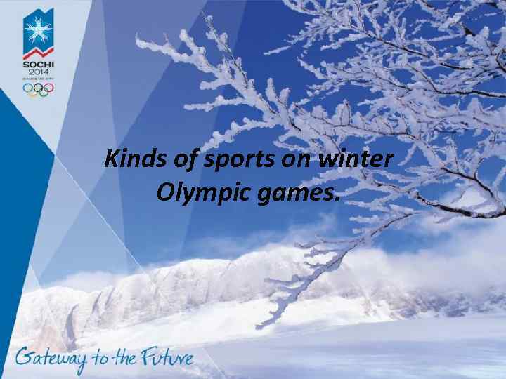 Kinds of sports on winter Olympic games. 