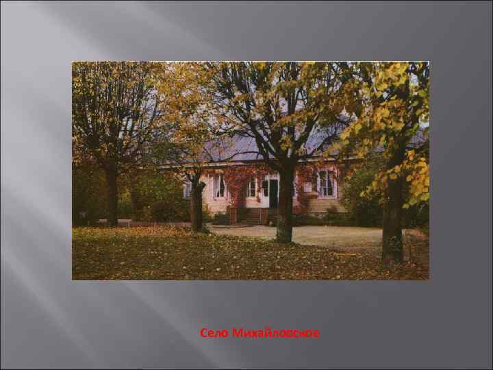 Село Михайловское 
