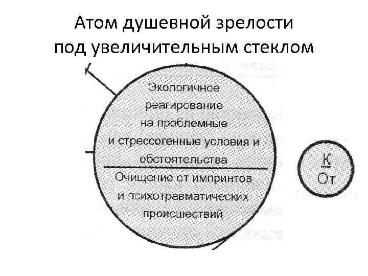 Атом душевной зрелости под увеличительным стеклом 