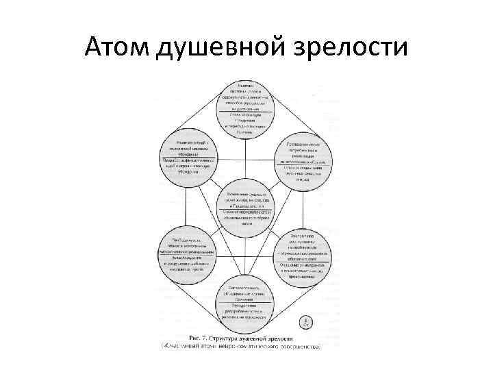 Атом душевной зрелости 