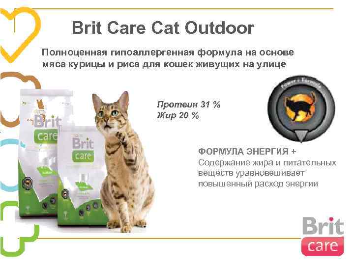 Brit Care Cat Outdoor Полноценная гипоаллергенная формула на основе мяса курицы и риса для