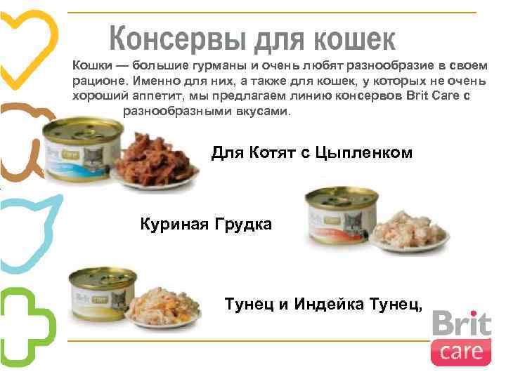 Кошки — большие гурманы и очень любят разнообразие в своем рационе. Именно для них,