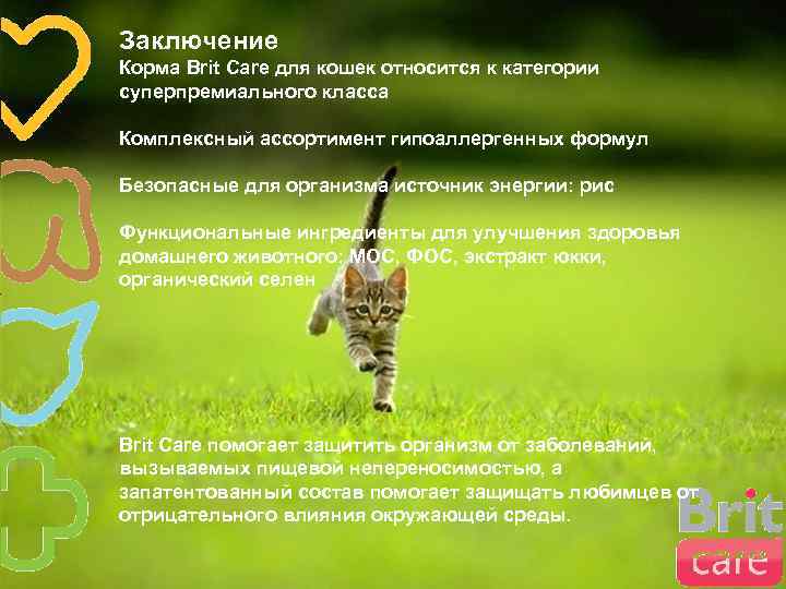 Заключение Корма Brit Care для кошек относится к категории суперпремиального класса Комплексный ассортимент гипоаллергенных