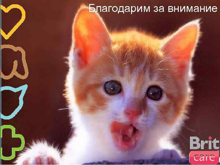 Благодарим за внимание 