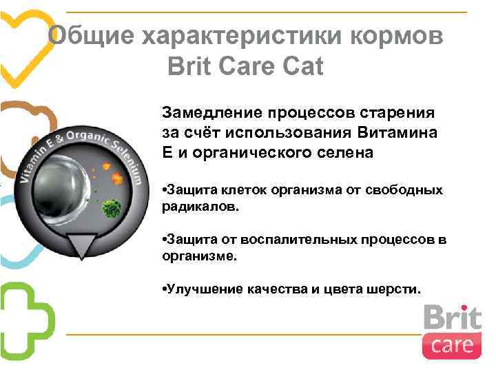 Замедление процессов старения за счёт использования Витамина Е и органического селена • Защита клеток