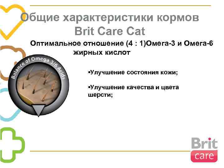 Оптимальное отношение (4 : 1)Омега-3 и Омега-6 жирных кислот • Улучшение состояния кожи; •