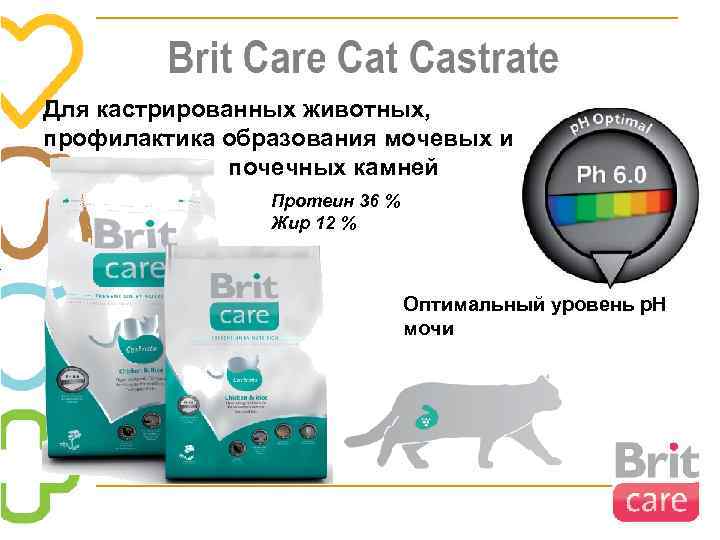 Для кастрированных животных, профилактика образования мочевых и почечных камней Протеин 36 % Жир 12