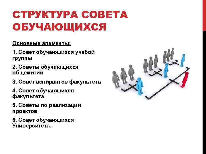 СТРУКТУРА СОВЕТА ОБУЧАЮЩИХСЯ Основные элементы: 1. Совет обучающихся учебой группы 2. Советы обучающихся общежитий