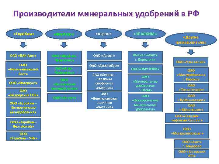 Производители минеральных удобрений в РФ «Евро. Хим» «Фос. Агро» «Акрон» «УРАЛХИМ» ОАО «НАК Азот»