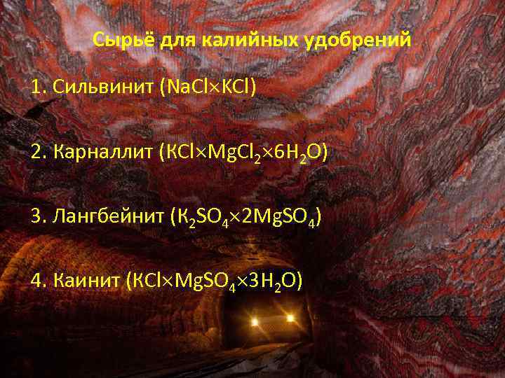 Сырьё для калийных удобрений 1. Сильвинит (Na. Cl KCl) 2. Карналлит (КСl Мg. Сl