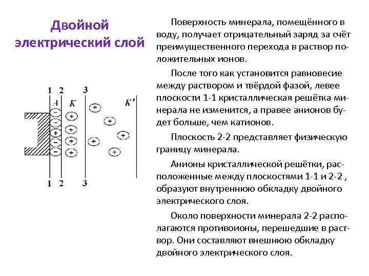 Двойной электрический слой Поверхность минерала, помещённого в воду, получает отрицательный заряд за счёт преимущественного