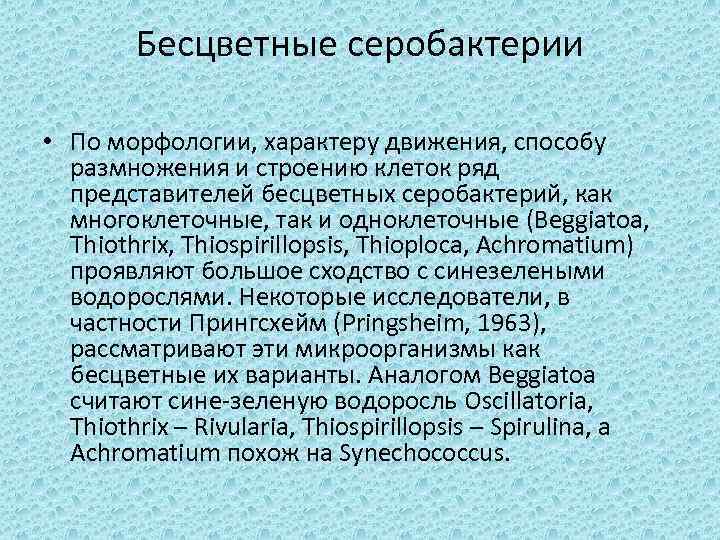 Бесцветные серобактерии • По морфологии, характеру движения, способу размножения и строению клеток ряд представителей