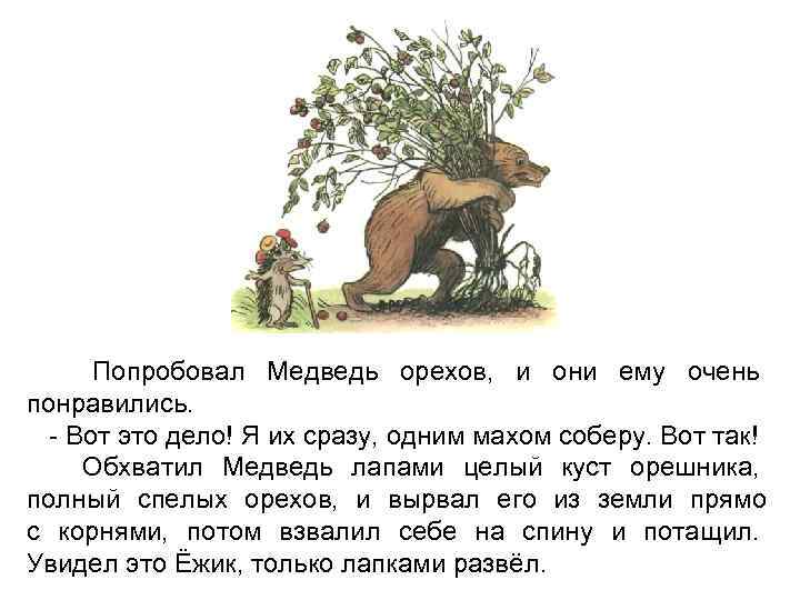 Попробовал Медведь орехов, и они ему очень понравились. - Вот это дело! Я их