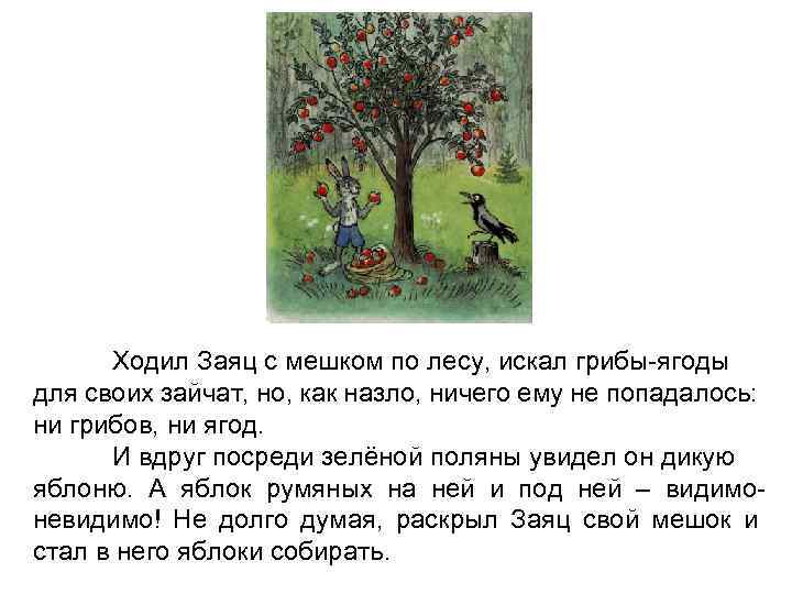 Ходил Заяц с мешком по лесу, искал грибы-ягоды для своих зайчат, но, как назло,