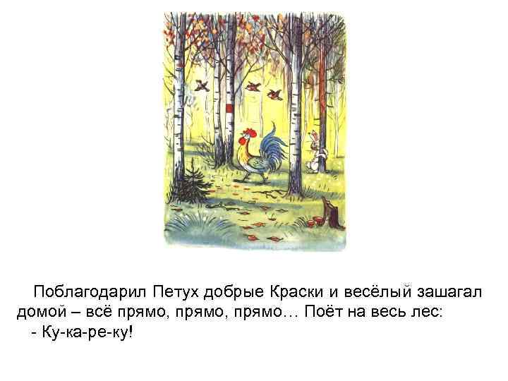 Поблагодарил Петух добрые Краски и весёлый зашагал домой – всё прямо, прямо… Поёт на