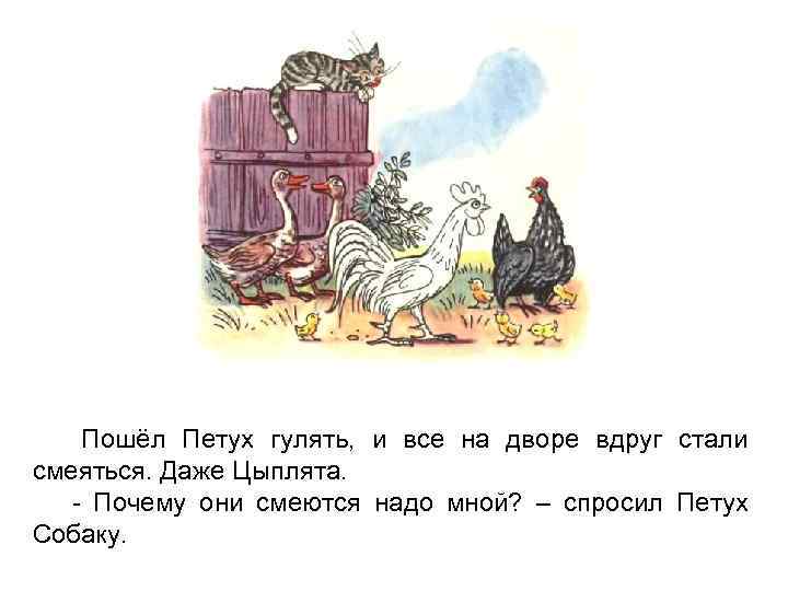 Пошёл Петух гулять, и все на дворе вдруг стали смеяться. Даже Цыплята. - Почему
