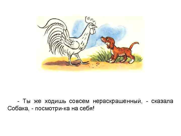 - Ты же ходишь совсем нераскрашенный, - сказала Собака, - посмотри-ка на себя! 