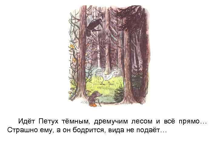 Идёт Петух тёмным, дремучим лесом и всё прямо… Страшно ему, а он бодрится, вида