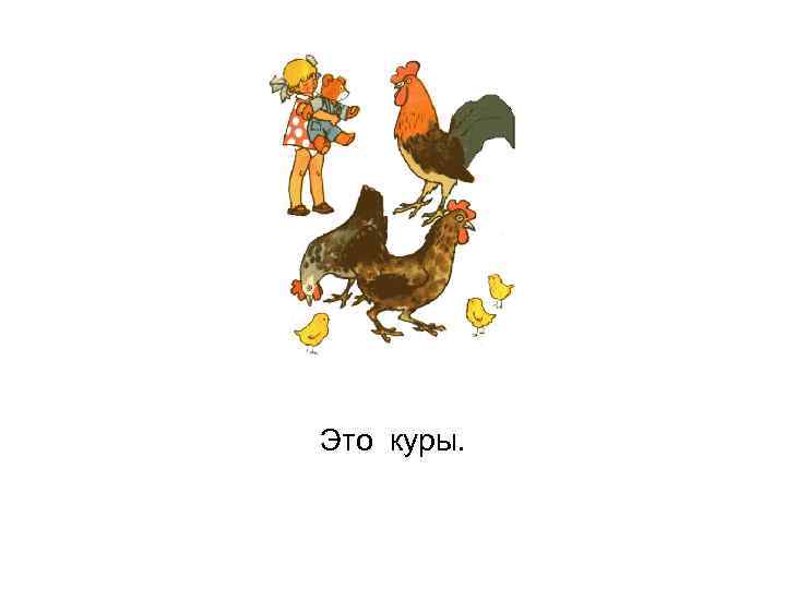 Это куры. 