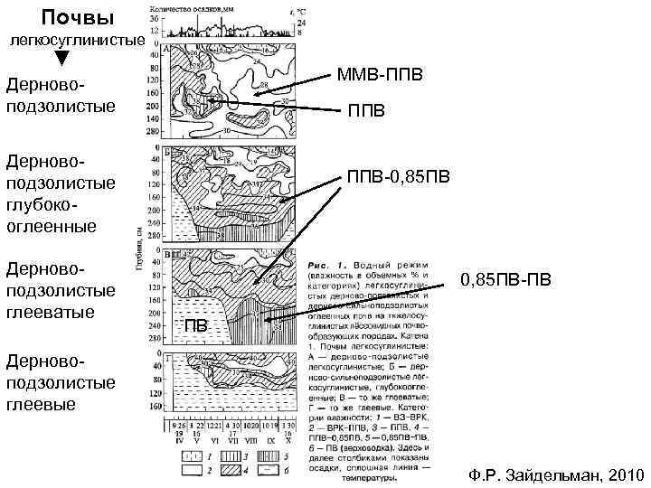 Почвы легкосуглинистые ММВ-ППВ Дерновоподзолистые глубокооглеенные Дерновоподзолистые глееватые ППВ-0, 85 ПВ-ПВ ПВ Дерновоподзолистые глеевые Ф.