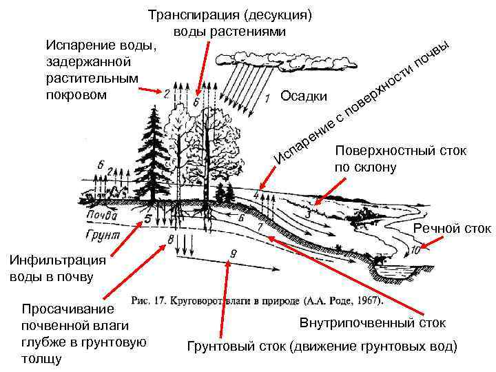 Воздушный режим почвы презентация