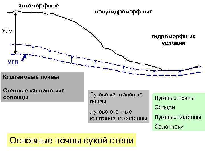 автоморфные полугидроморфные >7 м гидроморфные условия УГВ Каштановые почвы Степные каштановые солонцы Лугово-каштановые почвы