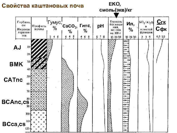 Свойства каштановых почв Гумус, Гипс, % Ca. CO 3, % AJ BMK CATnc BCAnc,