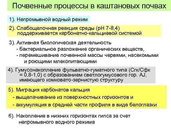 Почвенные процессы в каштановых почвах 1). Непромывной водный режим 2). Слабощелочная реакция среды (р.