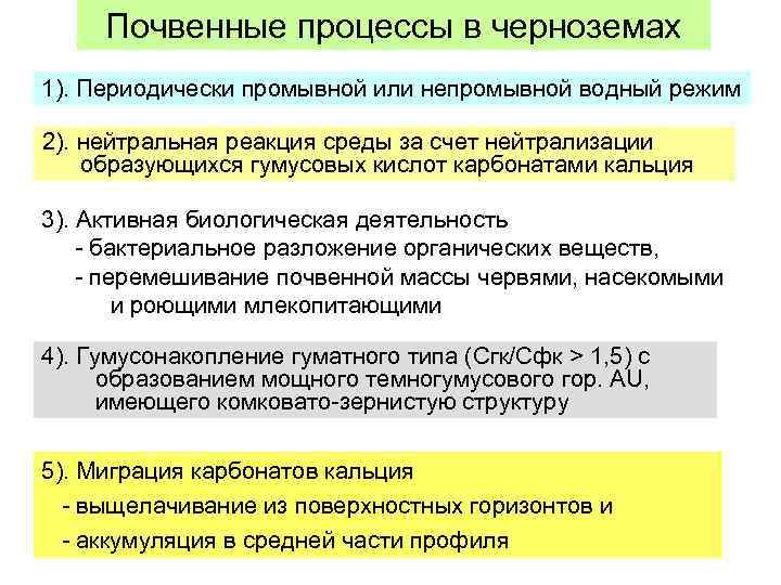 Почвенные процессы в черноземах 1). Периодически промывной или непромывной водный режим 2). нейтральная реакция