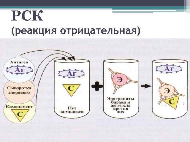 Реакция связывания комплемента микробиология