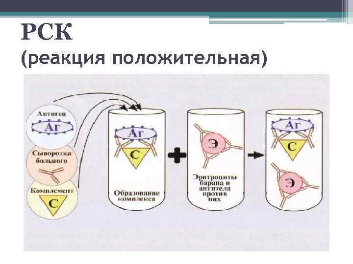 РСК (реакция положительная) 