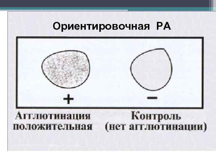 Реакция агглютинации микробиология схема