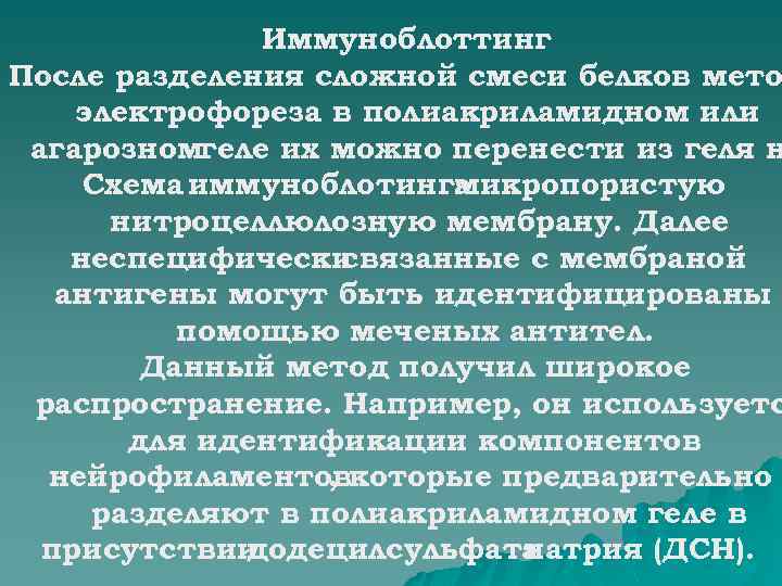 Иммуноблоттинг После разделения сложной смеси белков мето электрофореза в полиакриламидном или агарозномгеле их можно