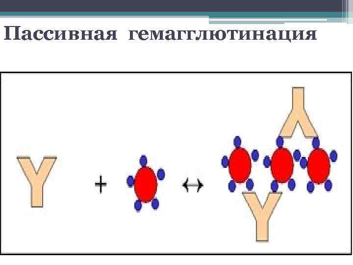 Пассивная гемагглютинация 